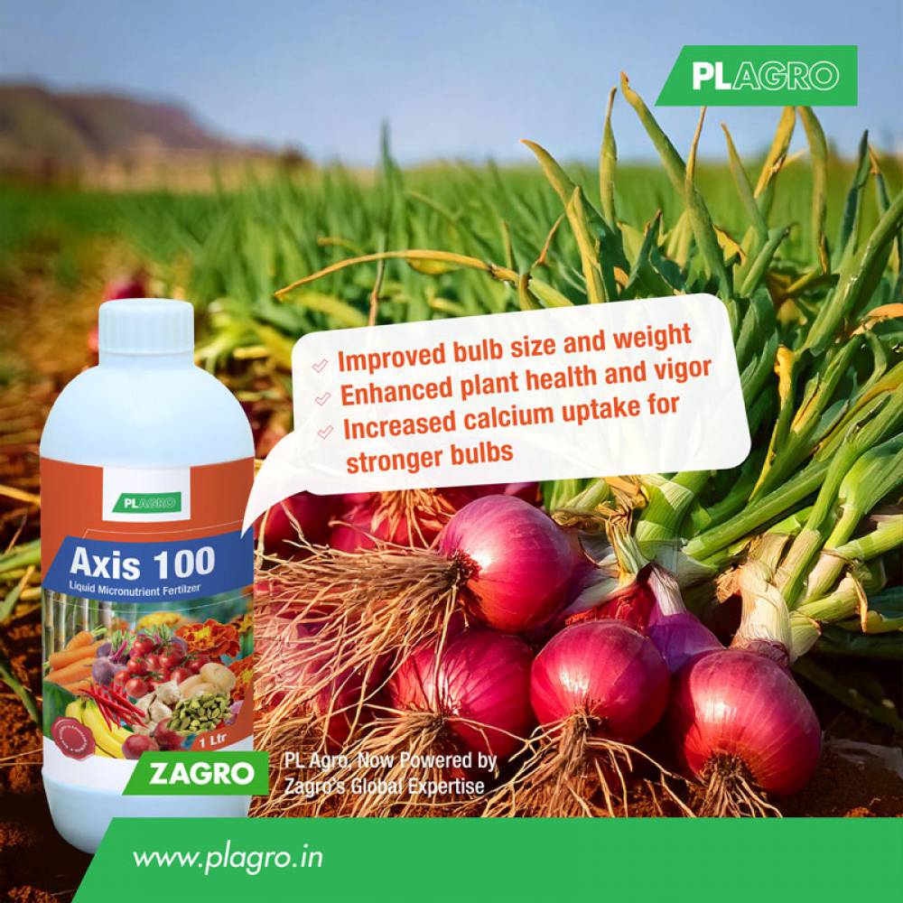 The Importance of Micronutrients in Onion Growth